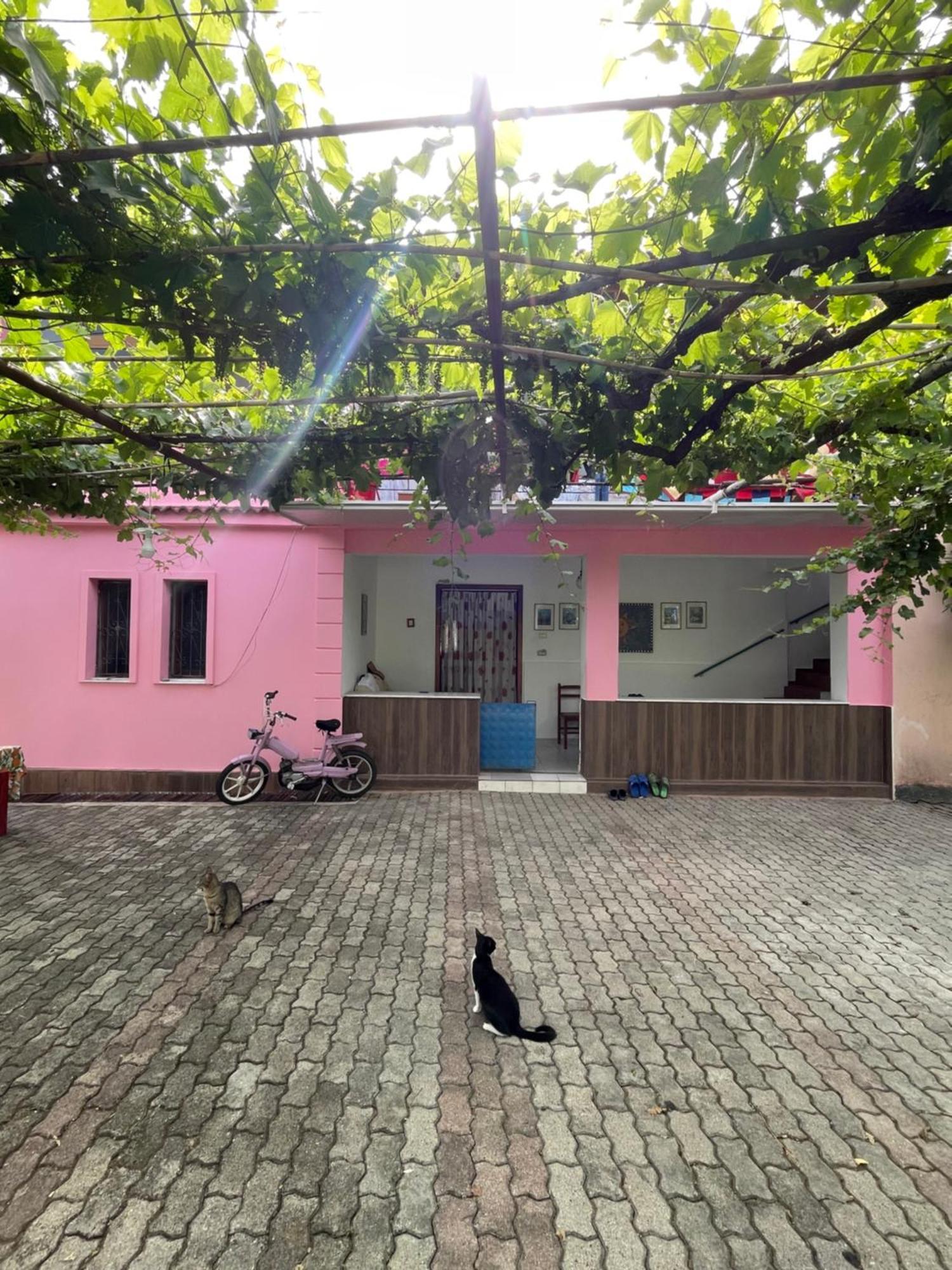 Villa Mance Berat Ngoại thất bức ảnh