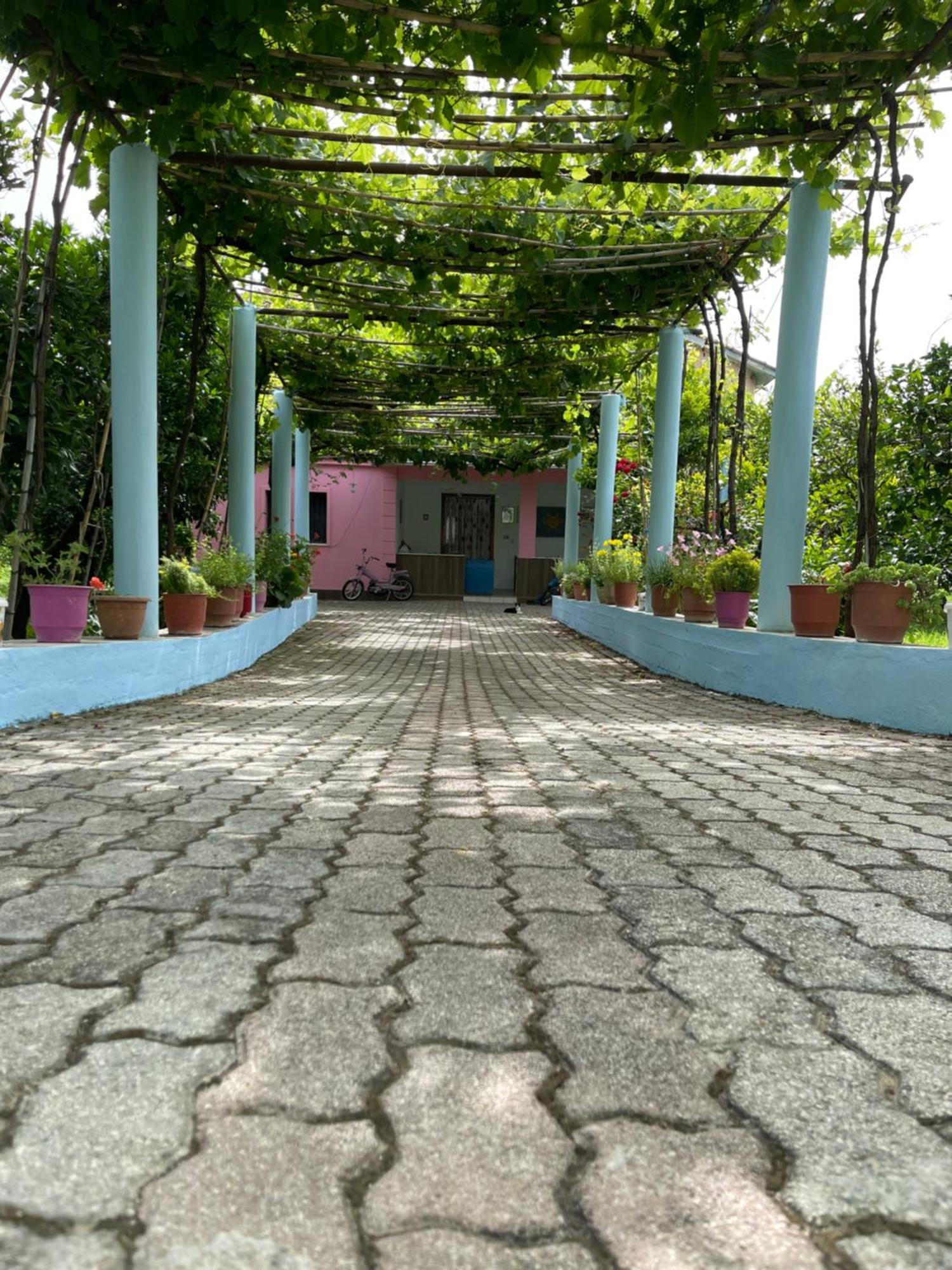 Villa Mance Berat Ngoại thất bức ảnh