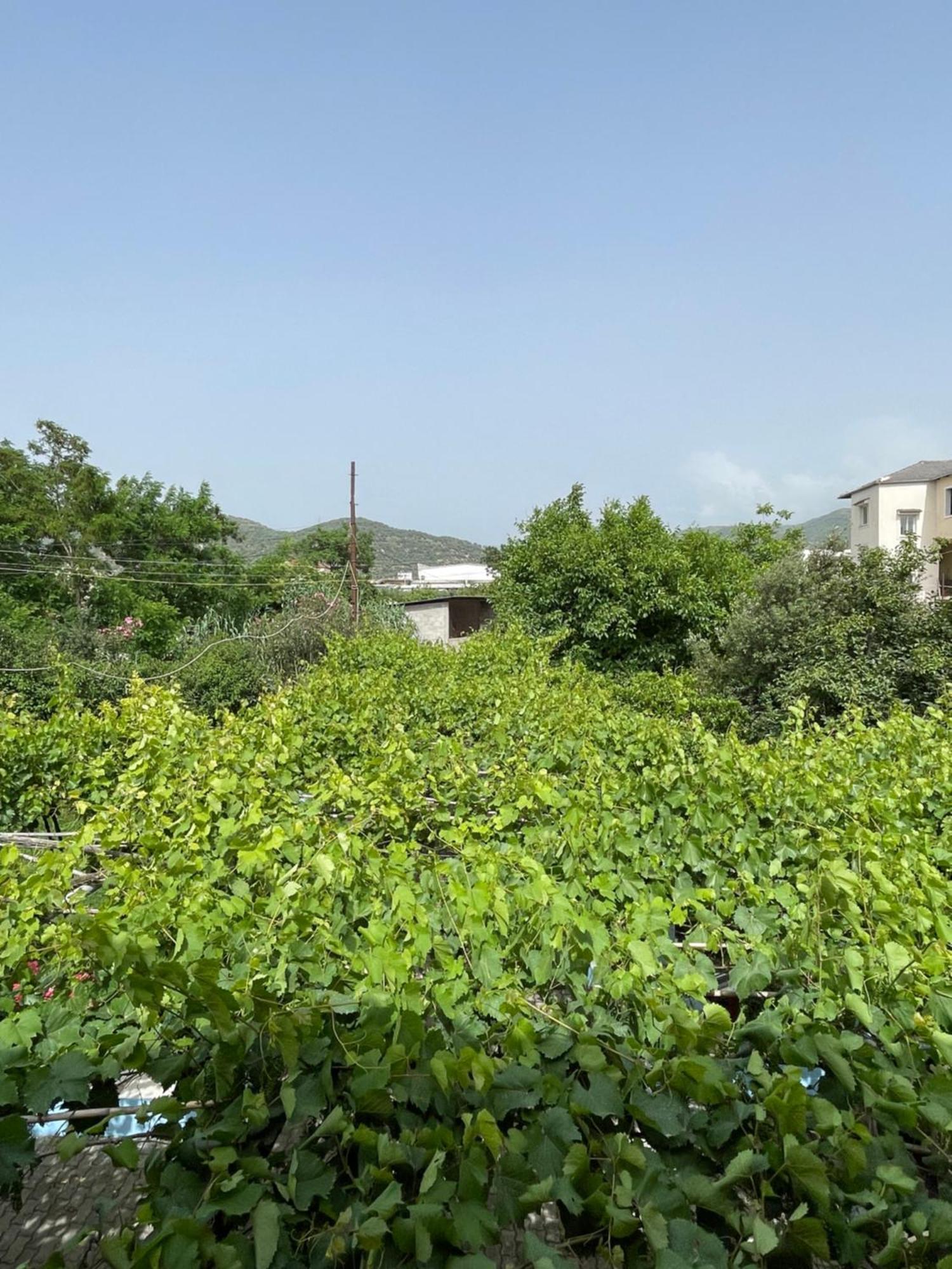 Villa Mance Berat Ngoại thất bức ảnh